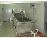 Vegetable Washing Machine